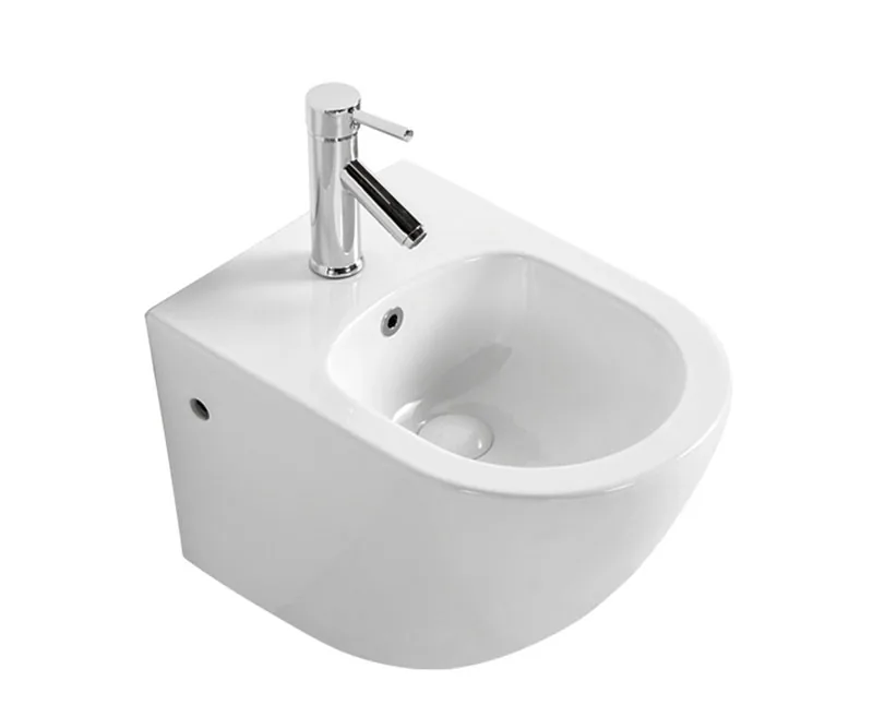 TT819 Bidet & Accessory