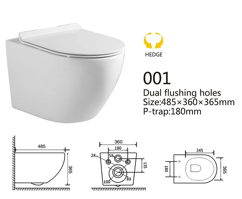 001 Eco Wall Hung Toilet