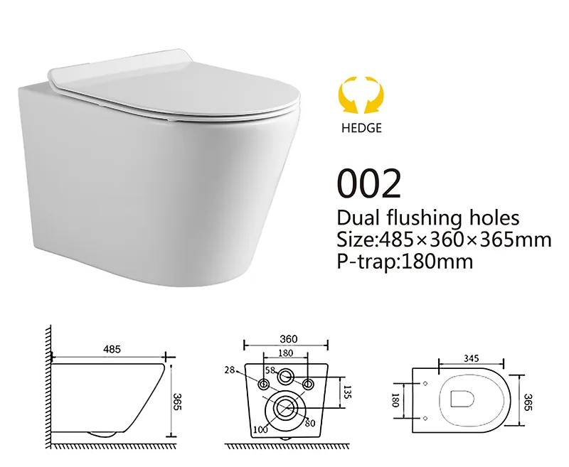 002 Eco Wall Hung Toilet