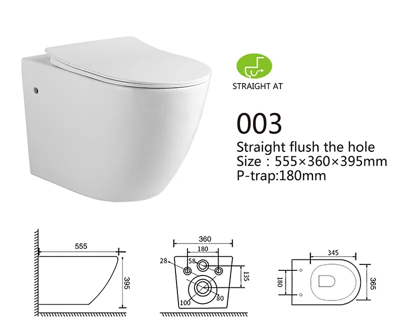 003 Eco Wall Hung Toilet