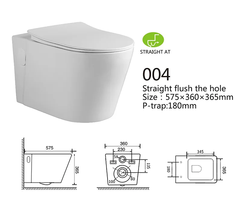004 Eco Wall Hung Toilet