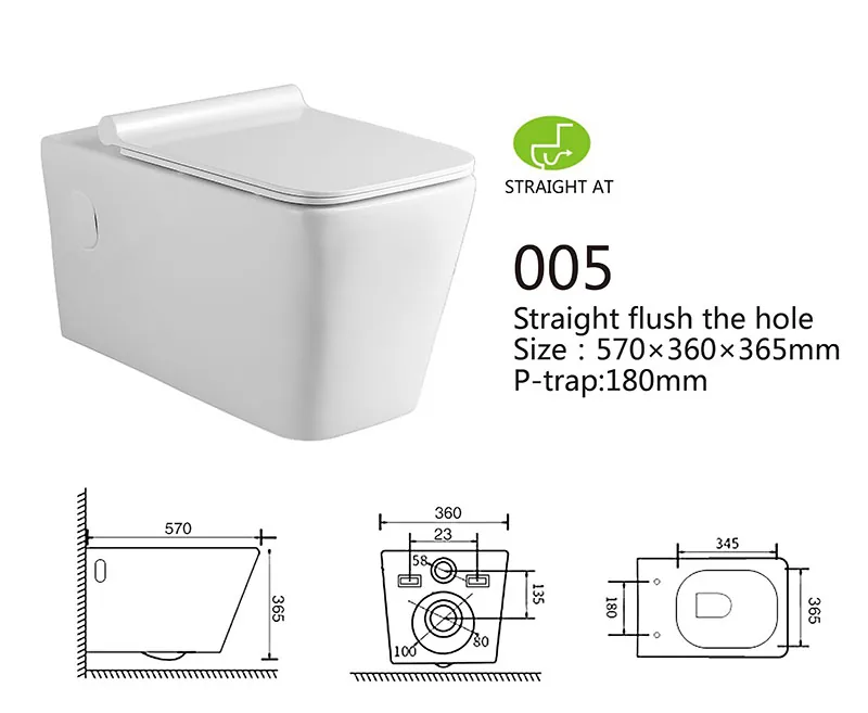 005 Eco Wall Hung Toilet