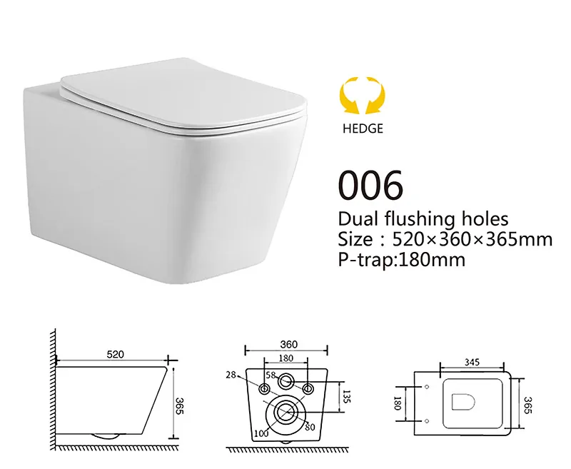 006 Eco Wall Hung Toilet