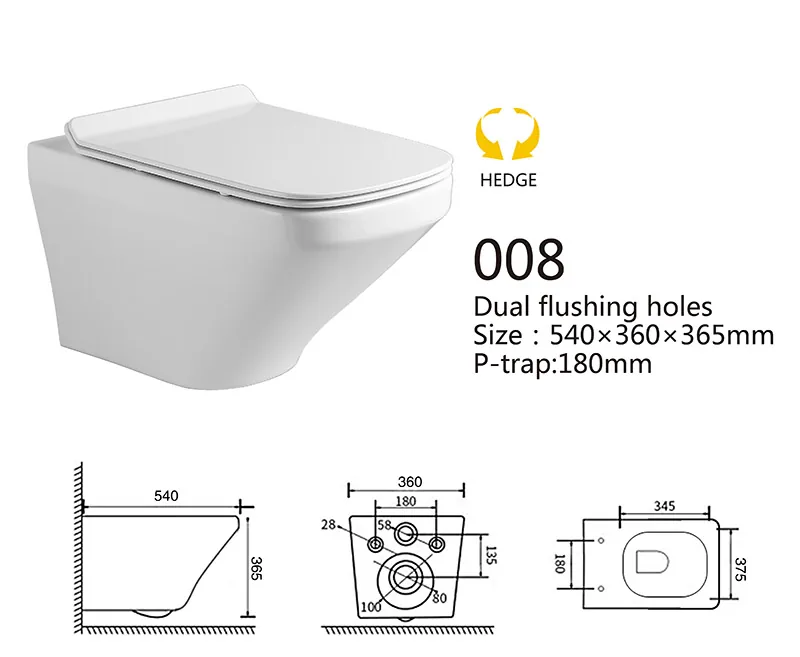 008 Eco Wall Hung Toilet