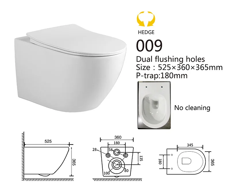 009 Eco Wall Hung Toilet