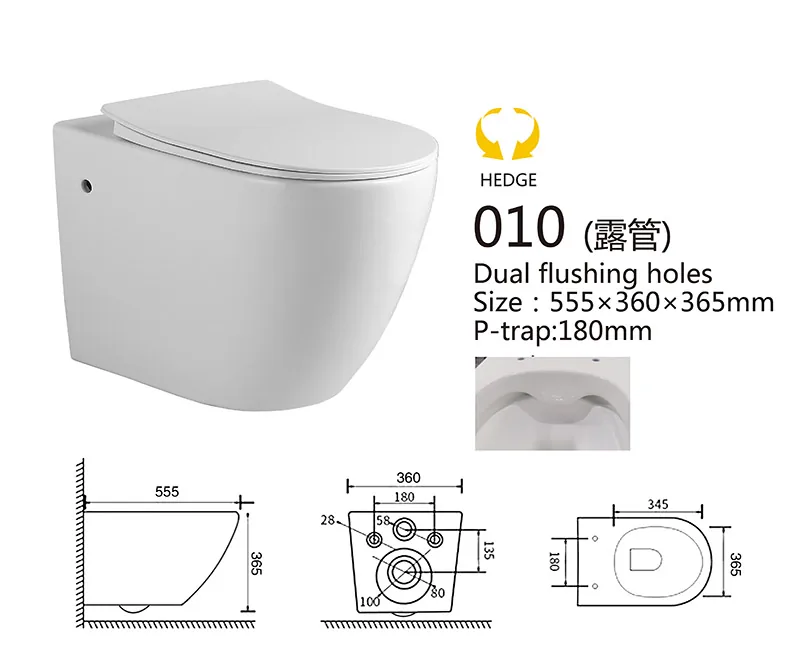 010 Eco Wall Hung Toilet