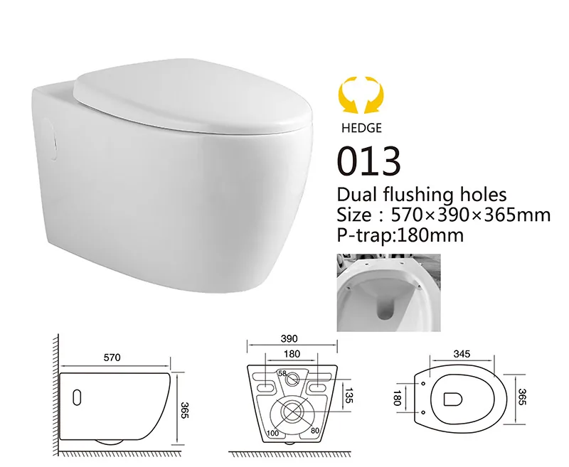 013 Eco Wall Hung Toilet