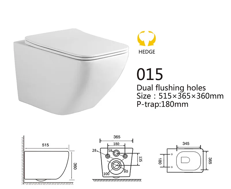 015 Eco Wall Hung Toilet