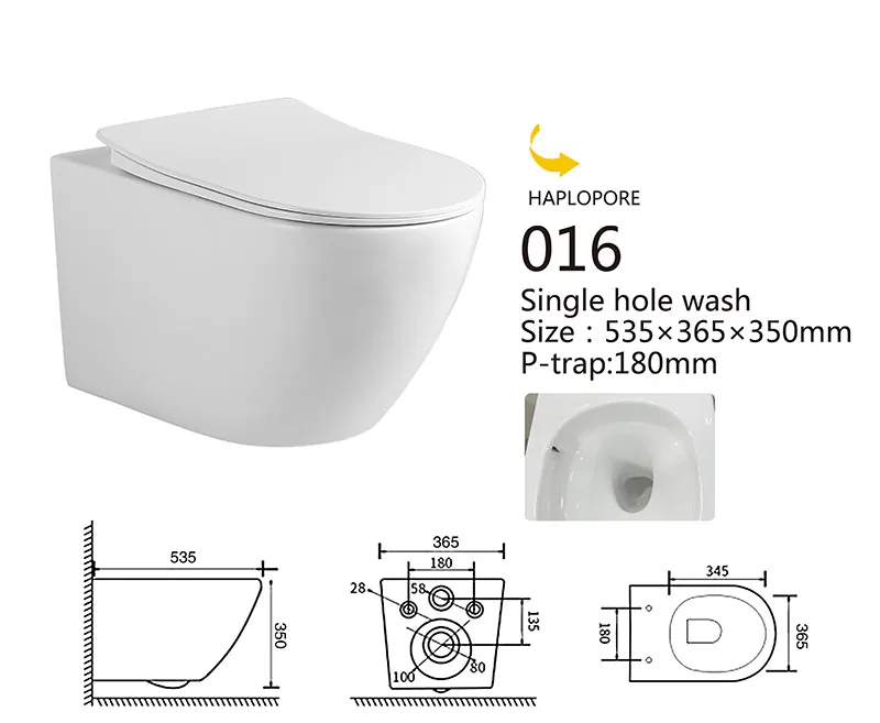 016 Eco Wall Hung Toilet