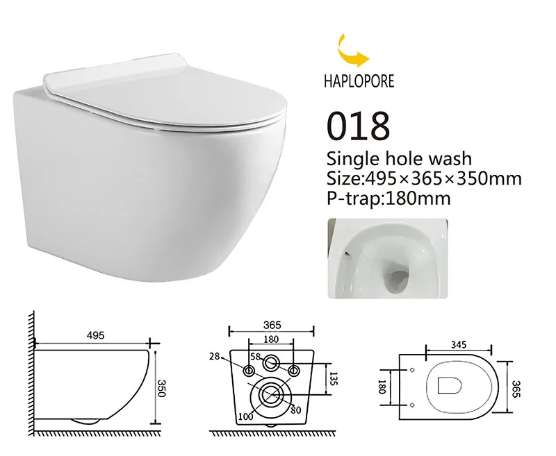 018 Eco Wall Hung Toilet
