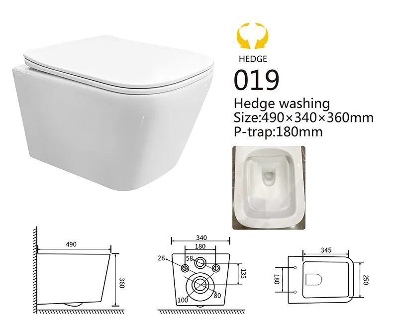 019 Eco Wall Hung Toilet