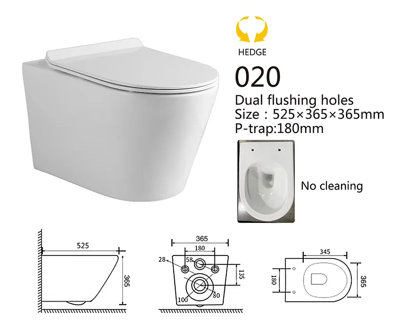 020 Eco Wall Hung Toilet