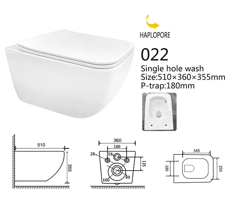 022 Eco Wall Hung Toilet