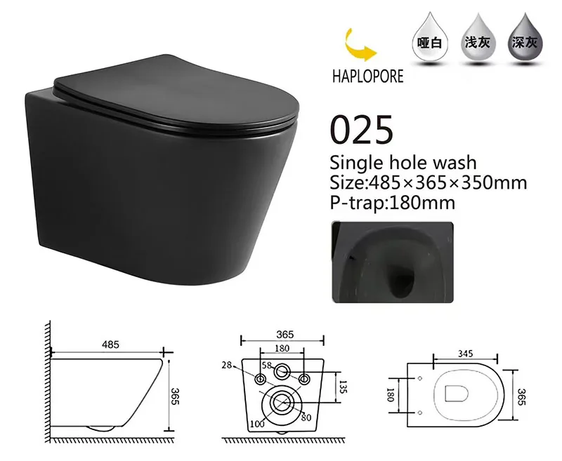 025-MB Eco Wall Hung Toilet