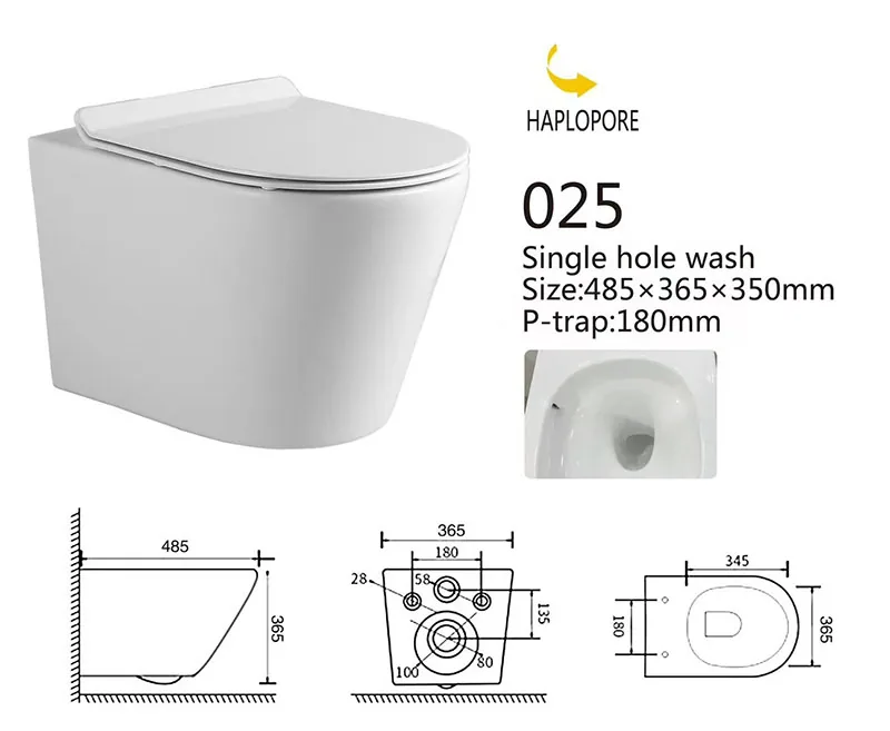 025 Eco Wall Hung Toilet