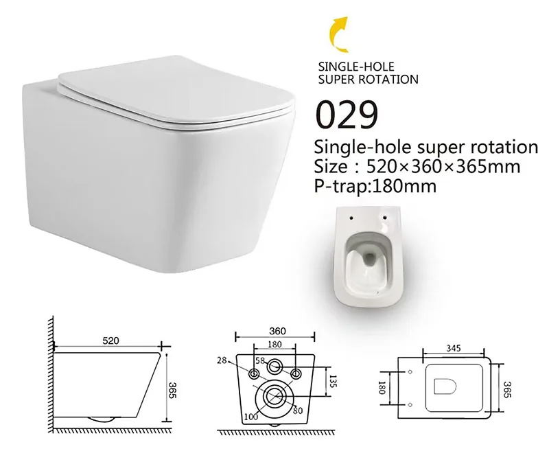 029 Eco Wall Hung Toilet