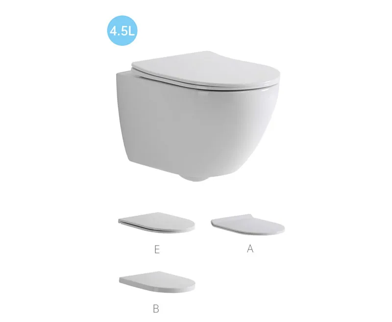 TT2416D Wall Hung Toilet product image