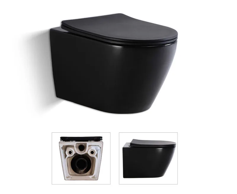 TT2416DB-MATT Wall Hung Toilet