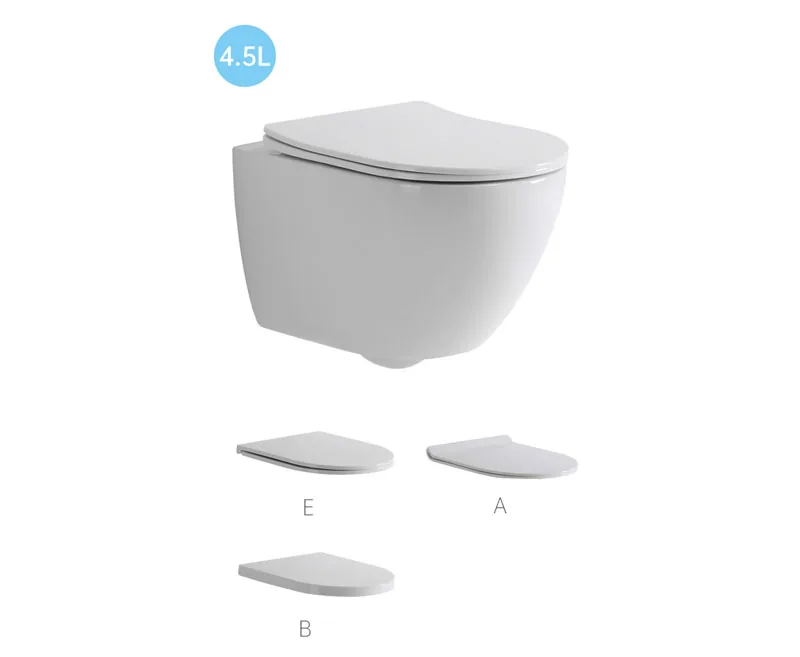 TT2418D Wall Hung Toilet product image