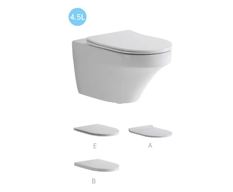 TT2462D Wall Hung Toilet