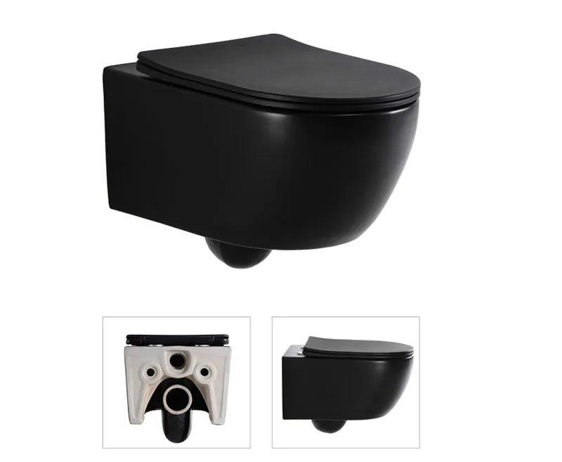 TT2468DB-MATT Wall Hung Toilet