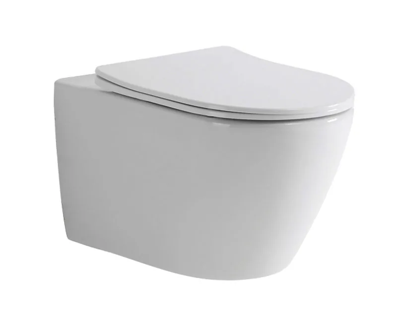 TT2476D Wall Hung Toilet