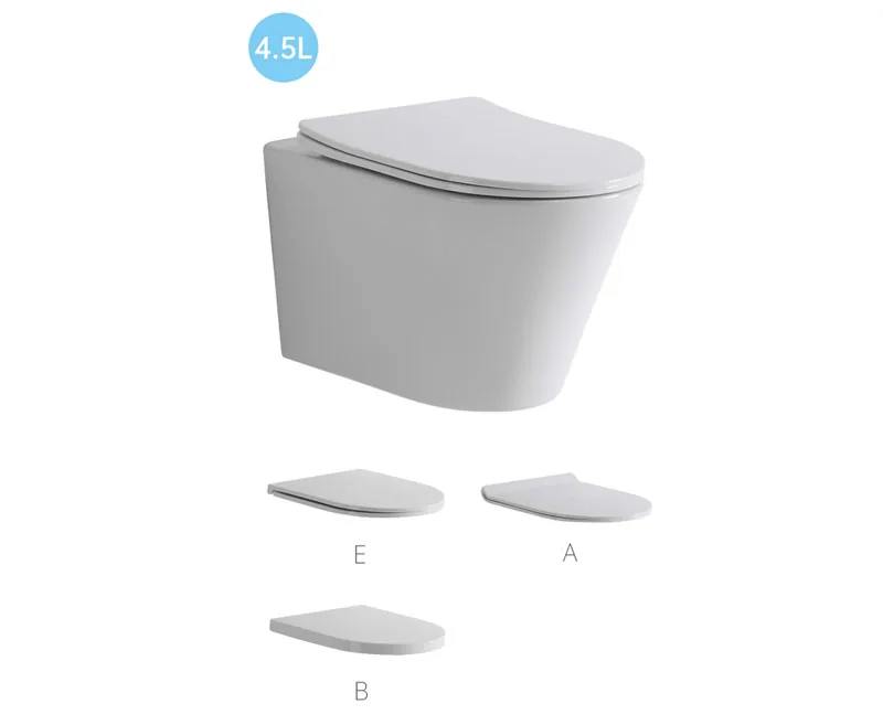 TT506C Wall Hung Toilet