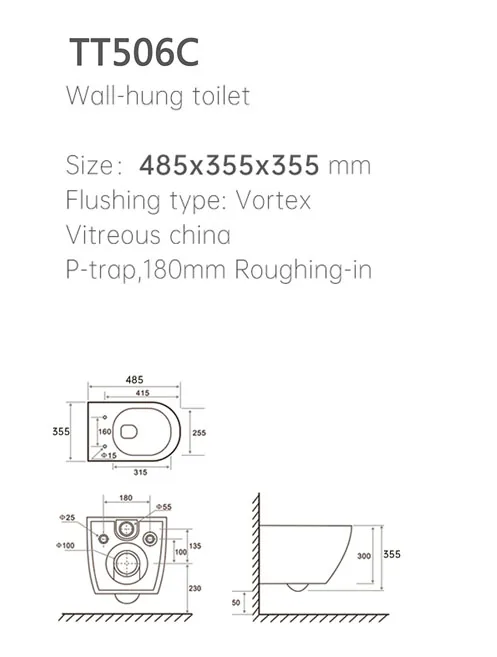 TT506C Wall Hung Toilet thumbnail 2