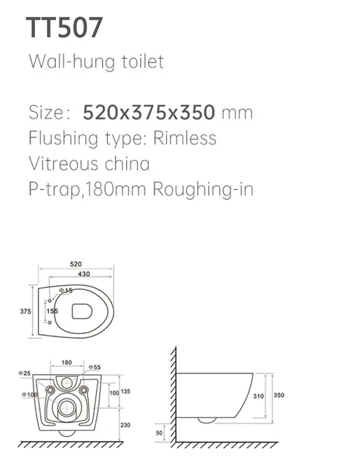 TT507 Wall Hung Toilet thumbnail 2