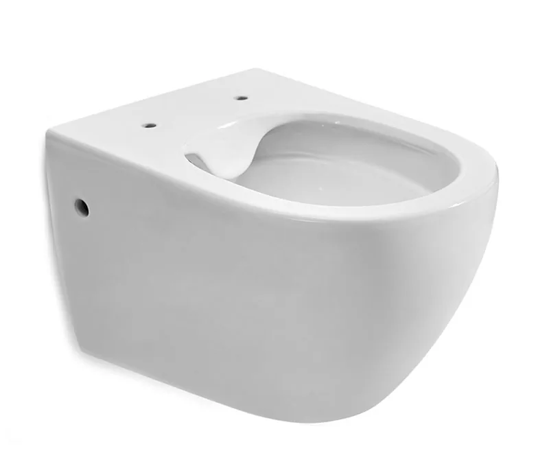 TT513B Wall Hung Toilet