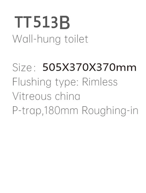 TT513B Wall Hung Toilet thumbnail 2