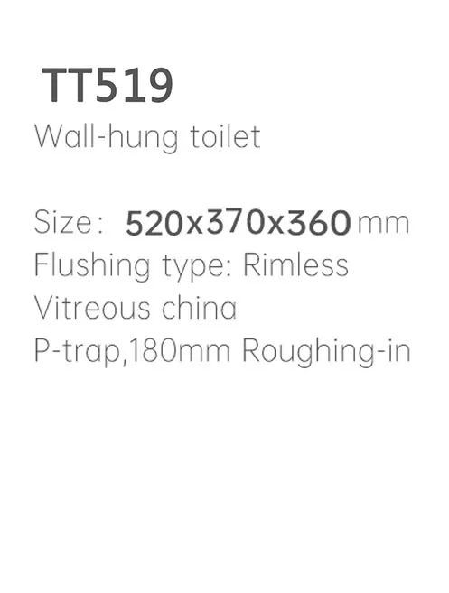 TT519 Wall Hung Toilet thumbnail 2