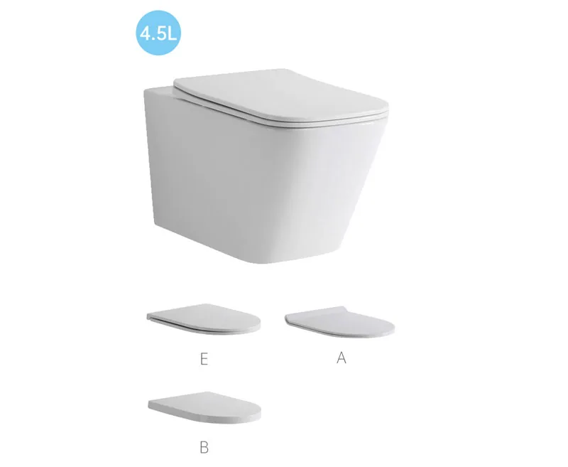 TT521C Wall Hung Toilet