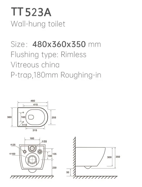 TT523A Wall Hung Toilet thumbnail 2