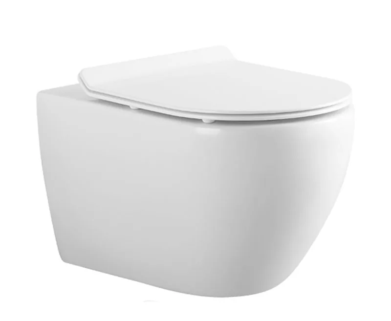 TT546 Wall Hung Toilet