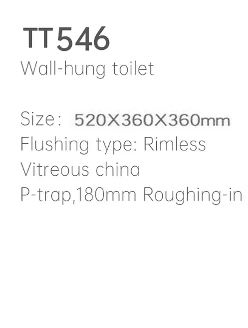 TT546 Wall Hung Toilet thumbnail 2