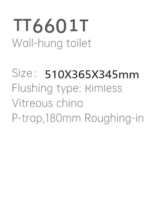 TT6601T Wall Hung Toilet thumbnail 2