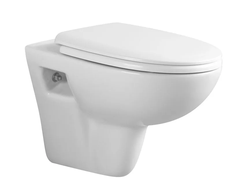 TT820 Wall Hung Toilet