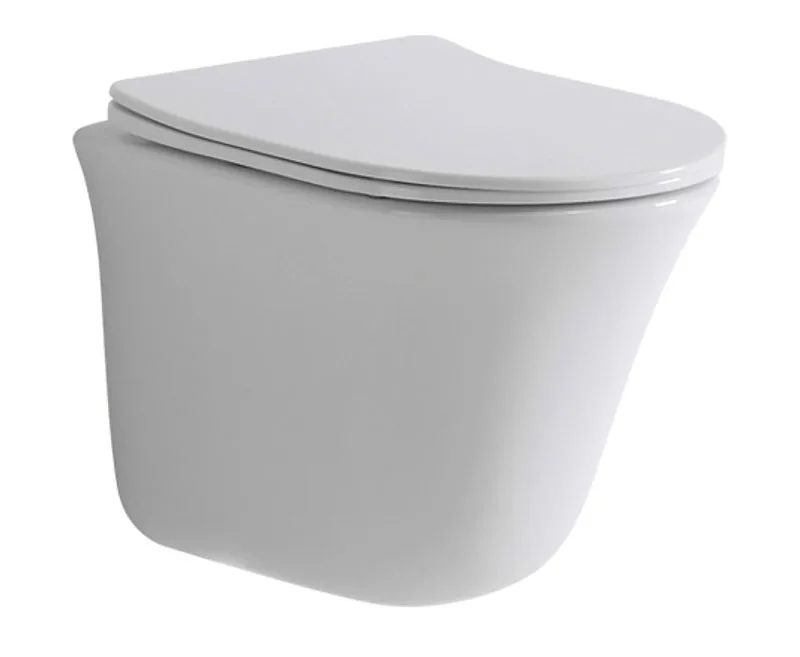 TT841 Wall Hung Toilet