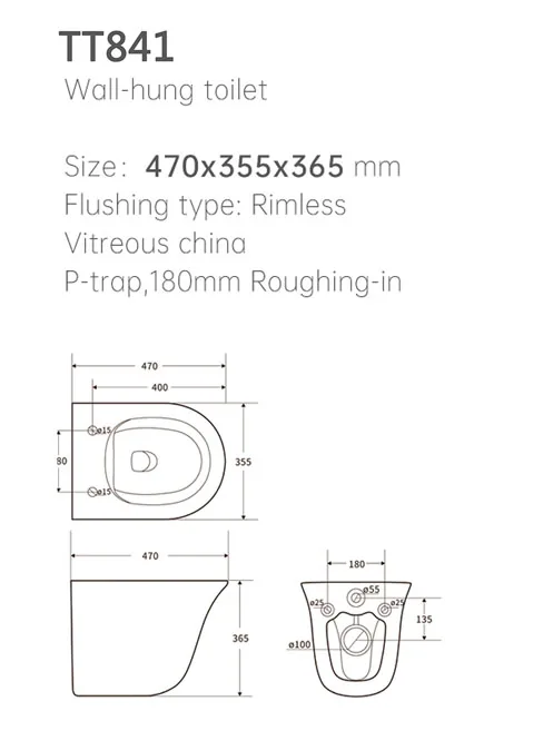 TT841 Wall Hung Toilet thumbnail 2