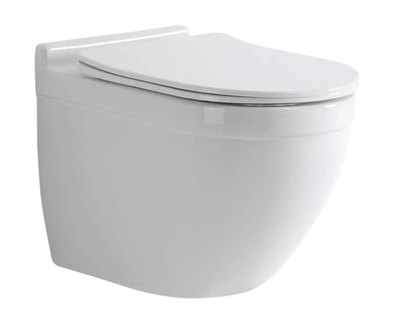 TT842 Wall Hung Toilet