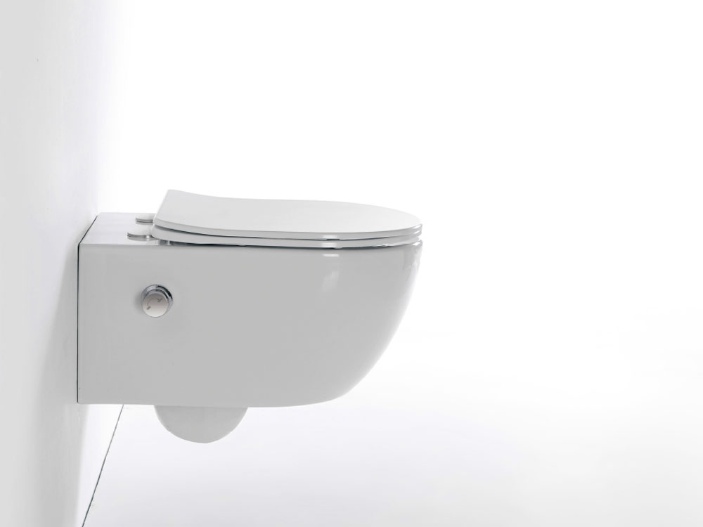 TT2416D Wall Hung Toilet