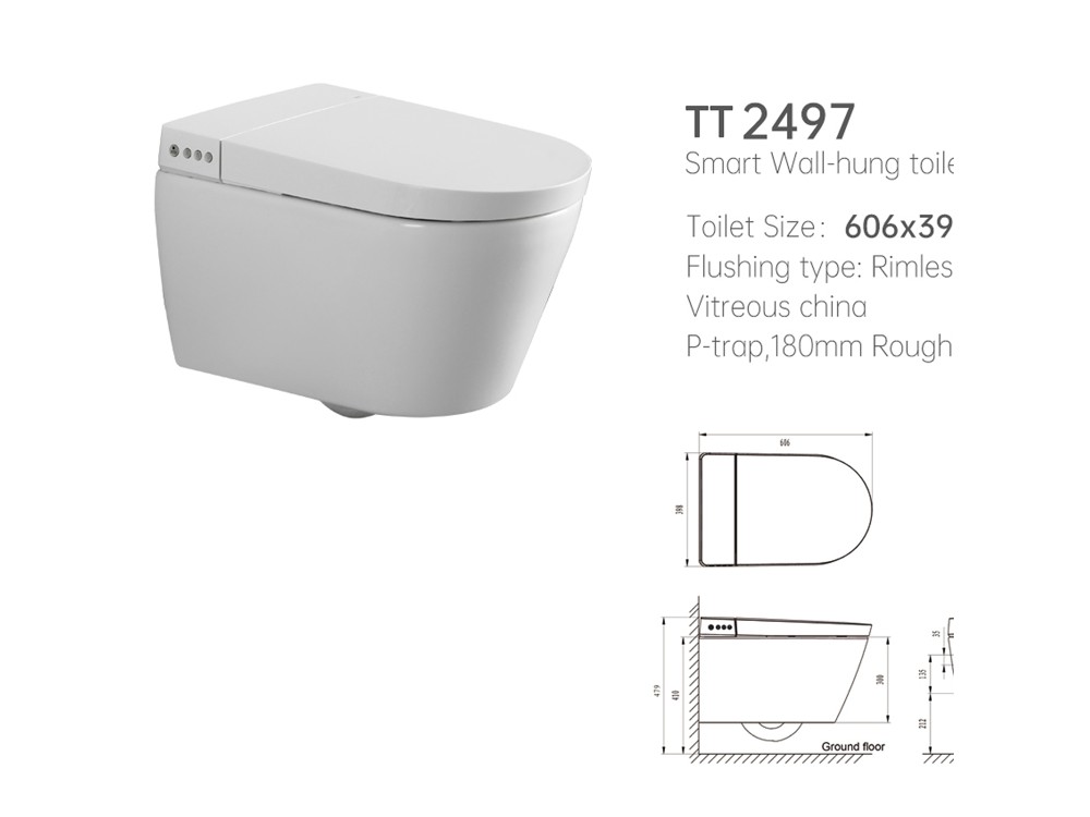 TT2497 Wall Hung Toilet
